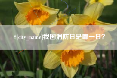 蓬莱我国消防日是哪一日？