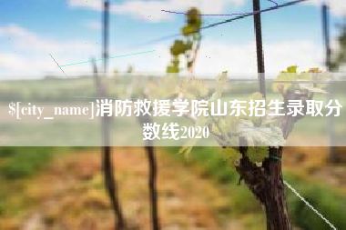 蓬莱消防救援学院山东招生录取分数线2020