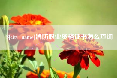 蓬莱消防职业资格证书怎么查询