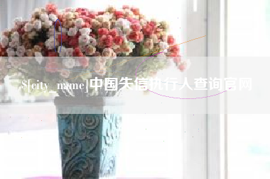 蓬莱中国失信执行人查询官网