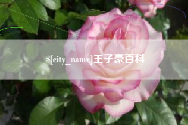 蓬莱王子豪百科