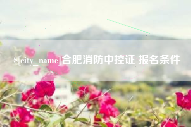 蓬莱合肥消防中控证 报名条件