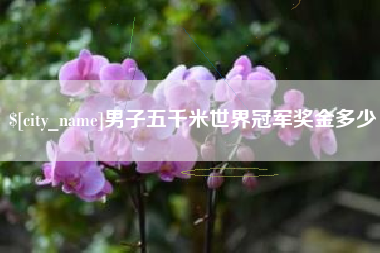 蓬莱男子五千米世界冠军奖金多少