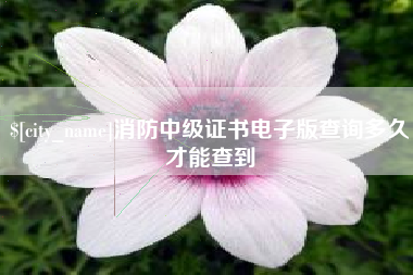 蓬莱消防中级证书电子版查询多久才能查到