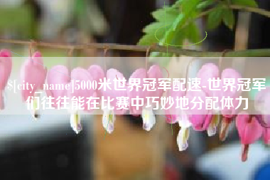 蓬莱5000米世界冠军配速-世界冠军们往往能在比赛中巧妙地分配体力