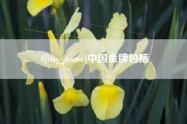 蓬莱中国金牌包括