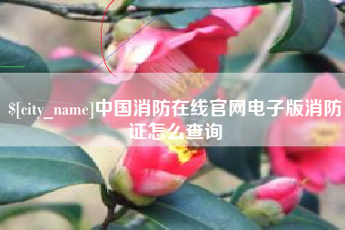 蓬莱中国消防在线官网电子版消防证怎么查询