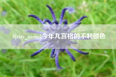 蓬莱今年九宫格的不利颜色