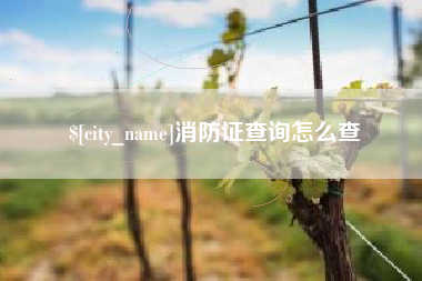 蓬莱消防证查询怎么查