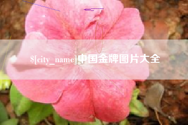 蓬莱中国金牌图片大全