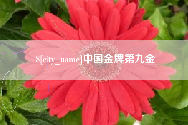 蓬莱中国金牌第九金