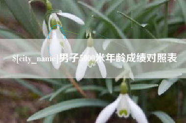 蓬莱男子5000米年龄成绩对照表