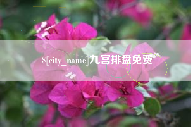 蓬莱九宫排盘免费