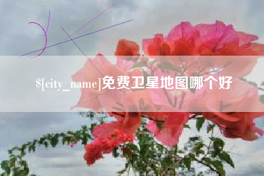 蓬莱免费卫星地图哪个好