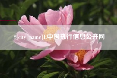 蓬莱1.中国执行信息公开网