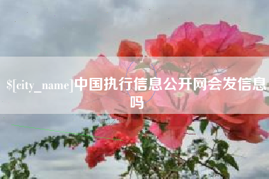 蓬莱中国执行信息公开网会发信息吗