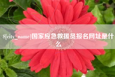 蓬莱国家应急救援员报名网址是什么