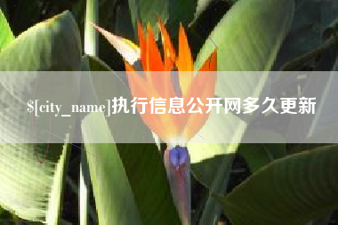 蓬莱执行信息公开网多久更新