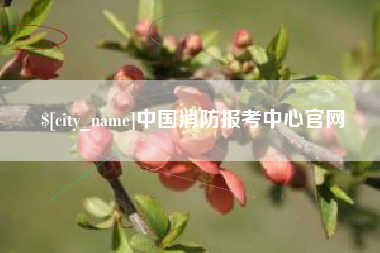 蓬莱中国消防报考中心官网