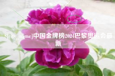 蓬莱中国金牌榜2024巴黎奥运会最新