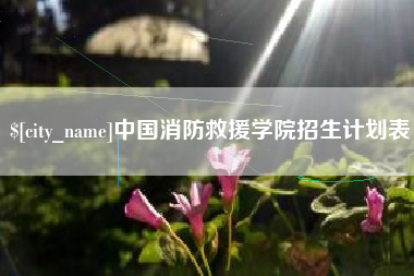蓬莱中国消防救援学院招生计划表