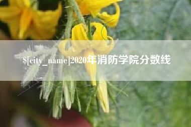 蓬莱2020年消防学院分数线