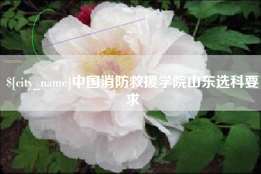蓬莱中国消防救援学院山东选科要求