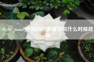 蓬莱中国消防救援学院什么时候政审