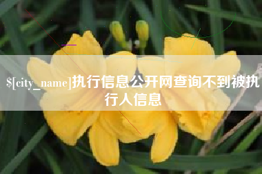 蓬莱执行信息公开网查询不到被执行人信息