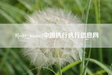 蓬莱中国执行执行信息网
