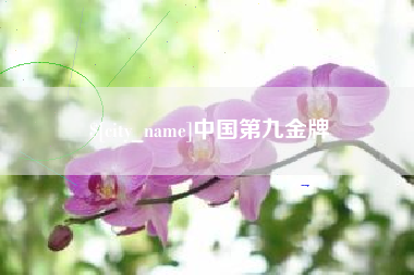 蓬莱中国第九金牌