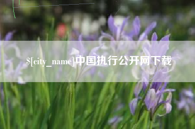 蓬莱中国执行公开网下载