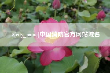 蓬莱中国消防官方网站域名