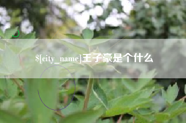 蓬莱王子豪是个什么