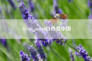 蓬莱白色在中国