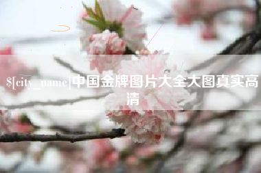 蓬莱中国金牌图片大全大图真实高清