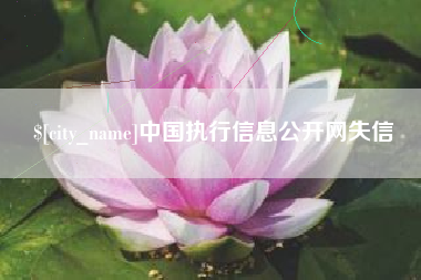 蓬莱中国执行信息公开网失信