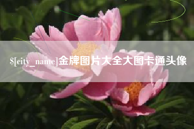 蓬莱金牌图片大全大图卡通头像