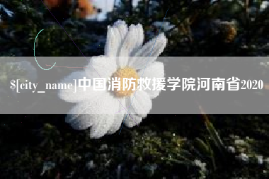 蓬莱中国消防救援学院河南省2020